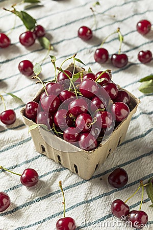 Raw Red Organic Tart Cherries Stock Photo