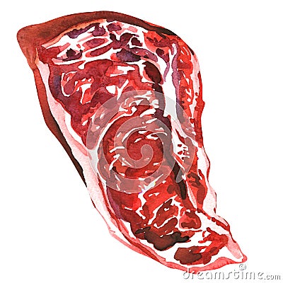 Raw ribeye steak, uncooked rib-eye steak, fresh beef meat ready to cook, close up, top view, isolated, hand drawn Cartoon Illustration