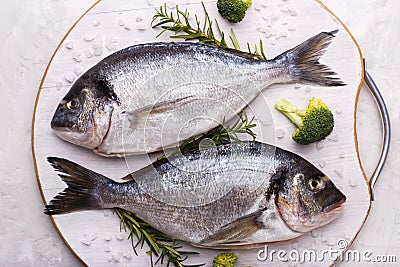 Raw sea bream fish Stock Photo