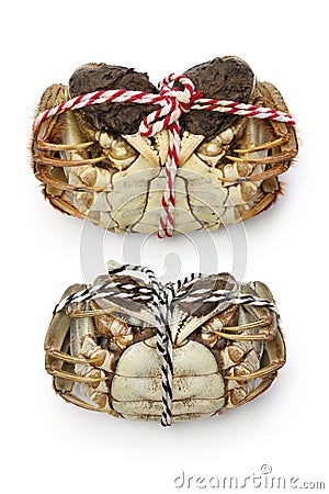 Raw shanghai hairy crabs(male and female) Stock Photo