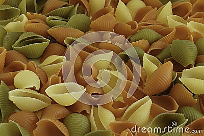 Raw shells macaroni various color background Stock Photo