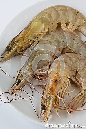 Raw Shrimp Stock Photo