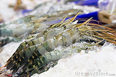Raw shrimp on ice in the market. Stock Photo