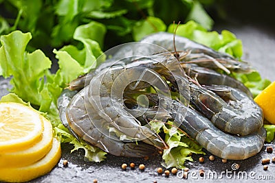 Raw shrimps on plate - fresh shrimp prawns uncooked with spices lemon and vegetable salad lettuce or green oak on dark background Stock Photo