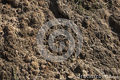 Raw soil Stock Photo