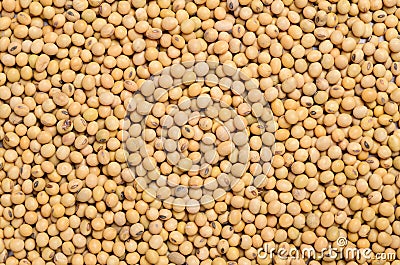 Raw soybean seeds texture background Stock Photo