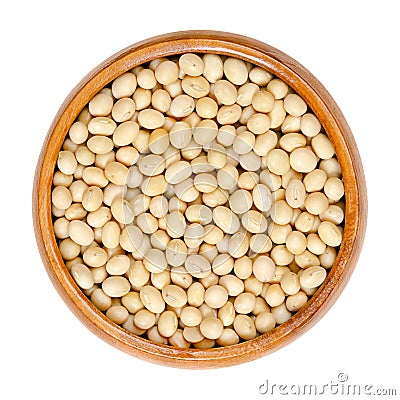 Raw soybeans, whole and dried soy or also soya beans, in a wooden bowl Stock Photo