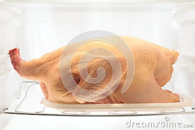 Raw turkey Stock Photo