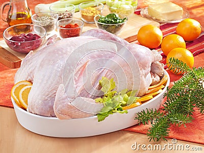 Raw turkey in the bowl Stock Photo