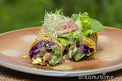 Raw vegan carrot and cumin wrap roll stuffed with shred lettuce, tomato, avocado, spinach and savory zucchini hummus Stock Photo