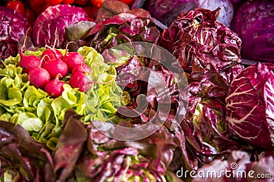 Raw Vegetables - Tomatoes, Radishes, Salad Stock Photo