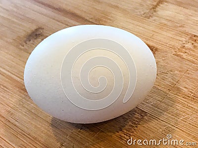 Raw White Egg Stock Photo