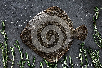 Raw whole flounder fish with rosemary on dark stone background. Stock Photo