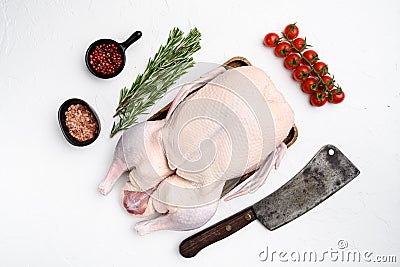 Raw whole goose, poultry meat with herbs, on white stone table background, top view flat lay Stock Photo