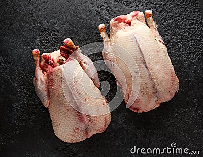 Raw wild mallard ducks ready to be cooked. Game or quarry birds Stock Photo