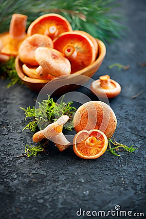 Raw wild Saffron milk cap mushrooms on dark old rustic background. Lactarius deliciosus. Rovellons, Niscalos Stock Photo