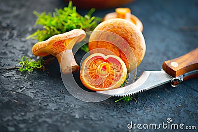 Raw wild Saffron milk cap mushrooms on dark old rustic background. Lactarius deliciosus. Rovellons, Niscalos. Organic mushrooms Stock Photo