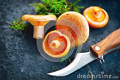 Raw wild Saffron milk cap mushrooms on dark old rustic background. Lactarius deliciosus. Rovellons, Niscalos. Organic mushrooms Stock Photo