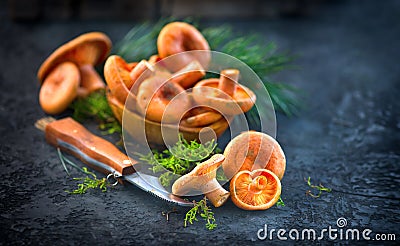 Raw wild Saffron milk cep mushrooms on dark old rustic background. Lactarius deliciosus. Rovellons, Niscalos. Organic mushrooms Stock Photo