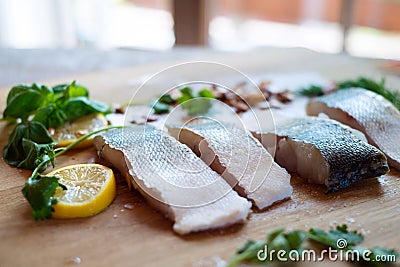 Raw zander fish fillets with lemon slices and herbs. Stock Photo