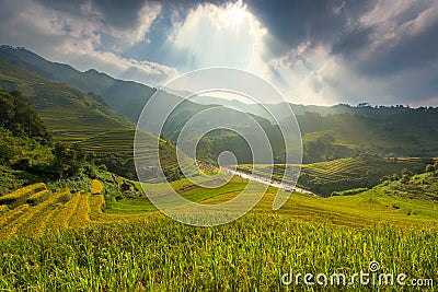 Ray of light and beautiful curve of Vietnam rice field on terrace. Vietnam landscape Stock Photo