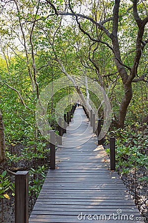 A wooden bridge in Golden Mangrove Field Thung Prong Thong Stock Photo