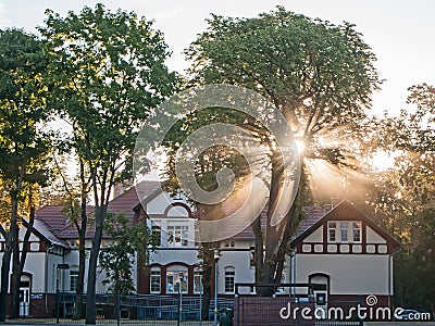 Rays of rising sun among trees. Stock Photo