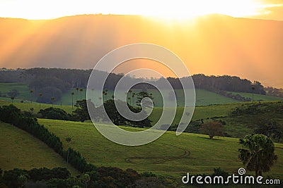 Sunbeams over green hills landscape by golden sky in Australia Stock Photo