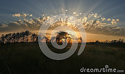 Rays of sun shine through beautifully shaped clouds behind tree silhouettes Stock Photo