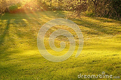 Rays of sunlight shining on to grass Stock Photo