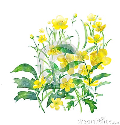 yellow spring flowers, buttercups. Background of flowers Stock Photo