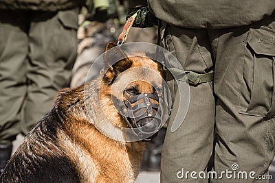 3rd anniversary of creation of National Guard of Ukraine Editorial Stock Photo