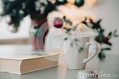 Christmas time with a book Stock Photo