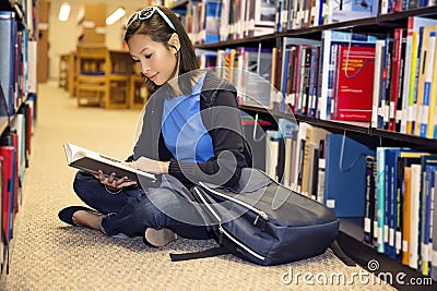 Reading in the Library Stock Photo