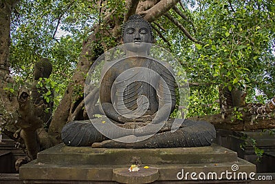 Beautiful temple on the tree for meditation Stock Photo