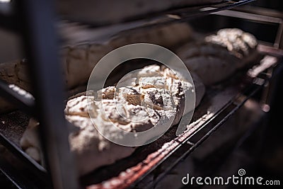 Ready fresh dough sprinkled with flour ready for baking Stock Photo