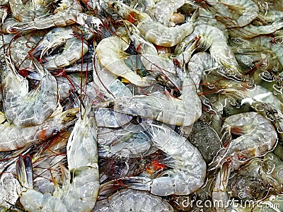 Grilled large fresh prawns served with megetables on blue plate Stock Photo