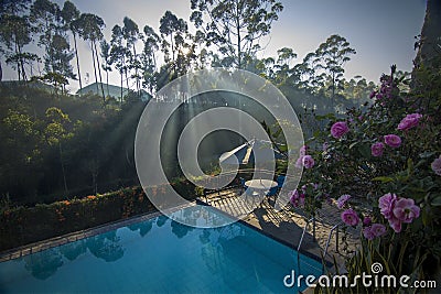 Ready jump to the pool Stock Photo