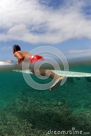 Ready to paddle out Stock Photo