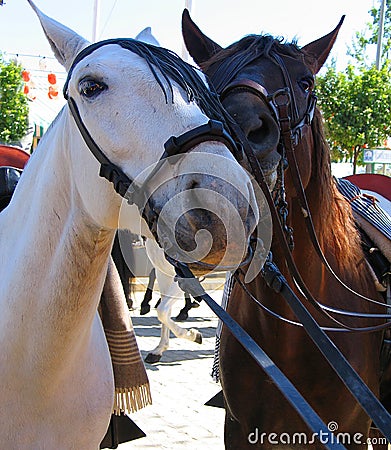 Ready to ride Stock Photo