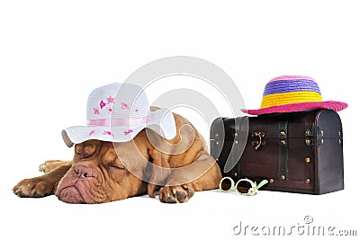 Ready for Vacation Stock Photo