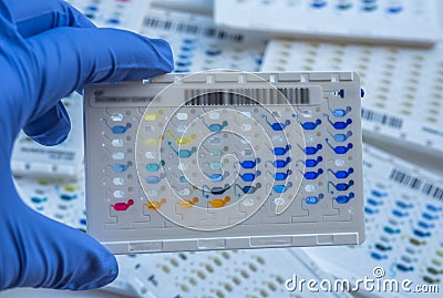 Reagent Strip for biochem and drug sensitivity test. Stock Photo