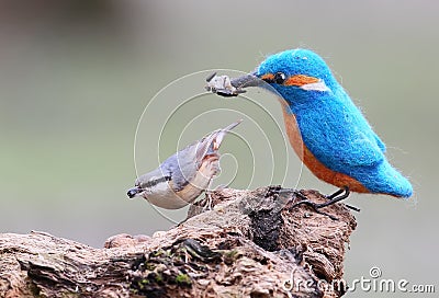 A real bird and a stuffed bird funny pictures Stock Photo
