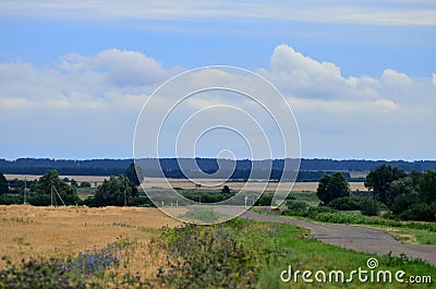 Real countryside paved road along the wheat field Stock Photo