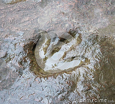 Real dinosaur footprint , Thailand. Stock Photo