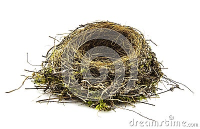 Real empty bird nest on white Stock Photo