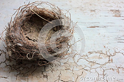 Real empty nest on old cracked white wooden background. Empty Nest Syndrome concept. Top view Stock Photo