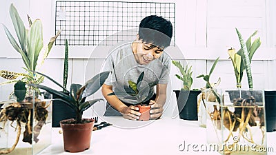 Real Face freckles or mole of Asian person smiling is take care, Potted plants on the table, The room is made of white wood. Stock Photo