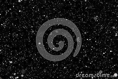 Real falling snow on a black background for use as a texture layer in a photo design. Stock Photo