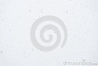 Real falling snowflakes on light background, snowstorm weather, natural snow shower on winter day, soft focus Stock Photo